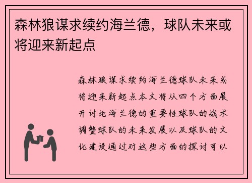 森林狼谋求续约海兰德，球队未来或将迎来新起点